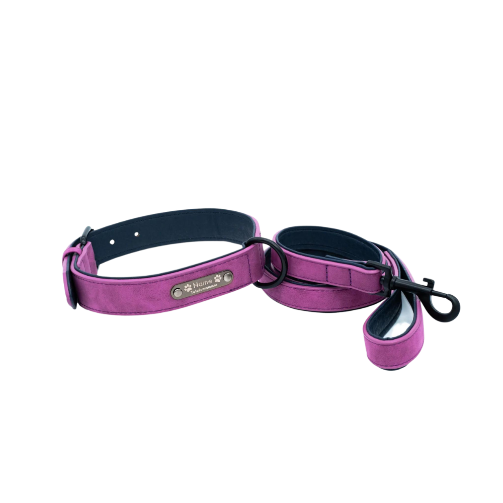 Classic Series Set - Halsband & Leine in Purpur