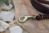 Premium Series Small Set - Halsband & Leine in Kastanie