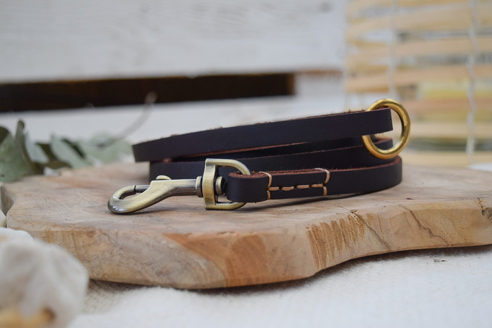 Premium Series Small Set - Halsband & Leine in Kastanie