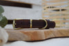 Premium Series Small Set - Halsband & Leine in Kastanie