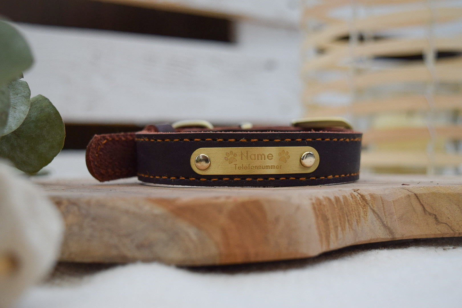 Premium Series Small Set - Halsband & Leine in Kastanie