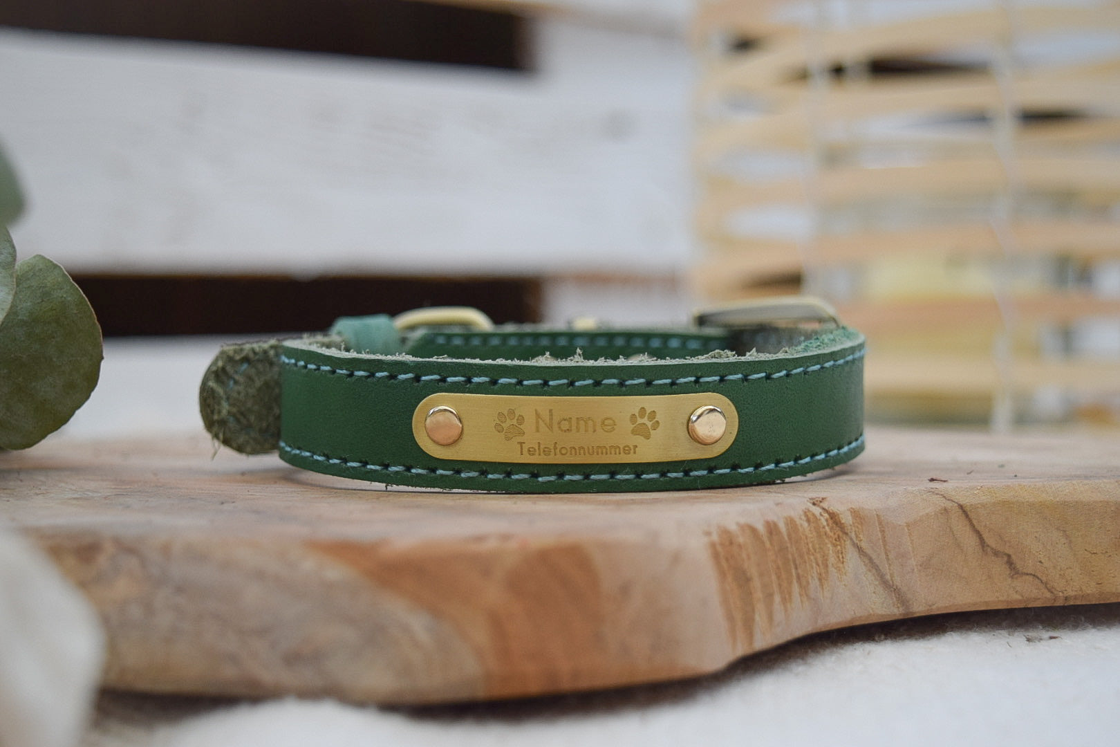 Premium Series Small Set - Halsband & Leine in Opalgrün
