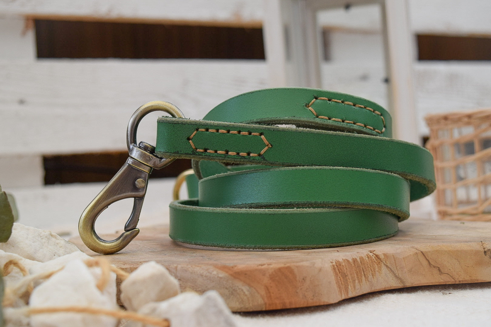 Premium Series Set - Halsband & Leine in Opalgrün