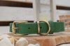Premium Series Set - Halsband & Leine in Opalgrün