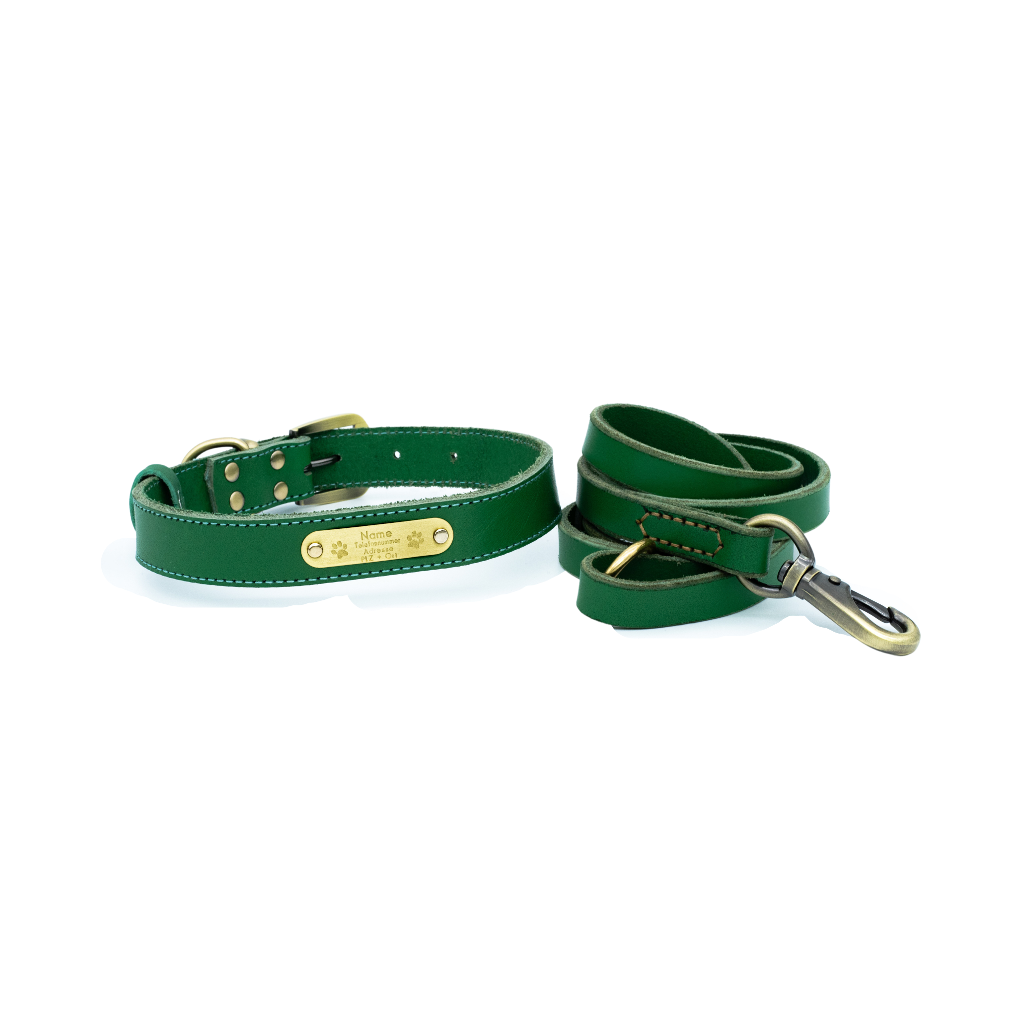 Premium Series Set - Halsband & Leine in Opalgrün