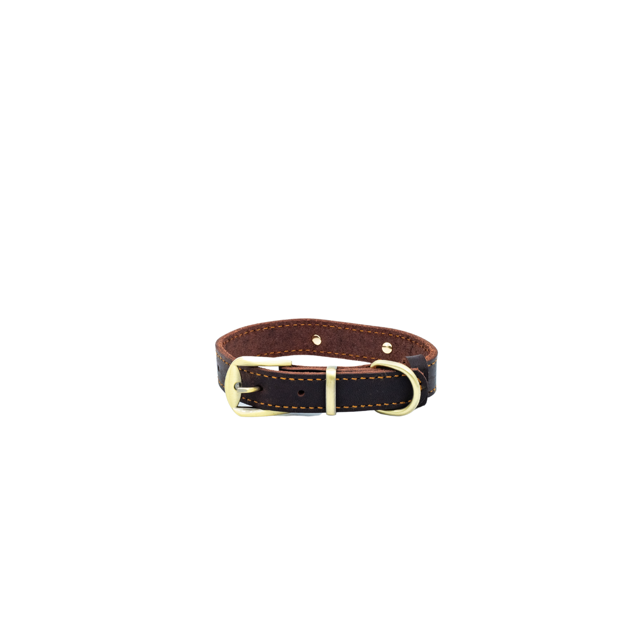 Premium Series Small Set - Halsband & Leine in Kastanie