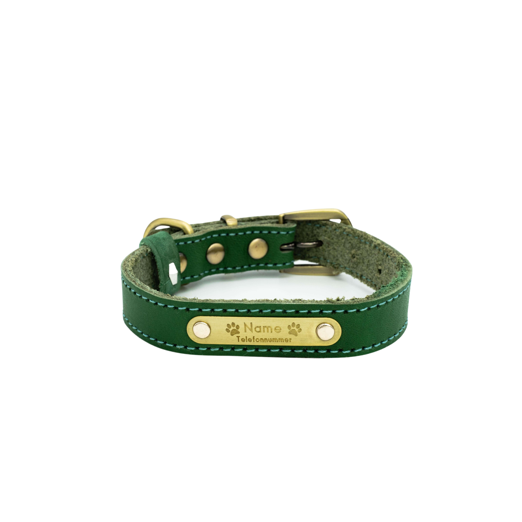 Premium Series Small Set - Halsband & Leine in Opalgrün