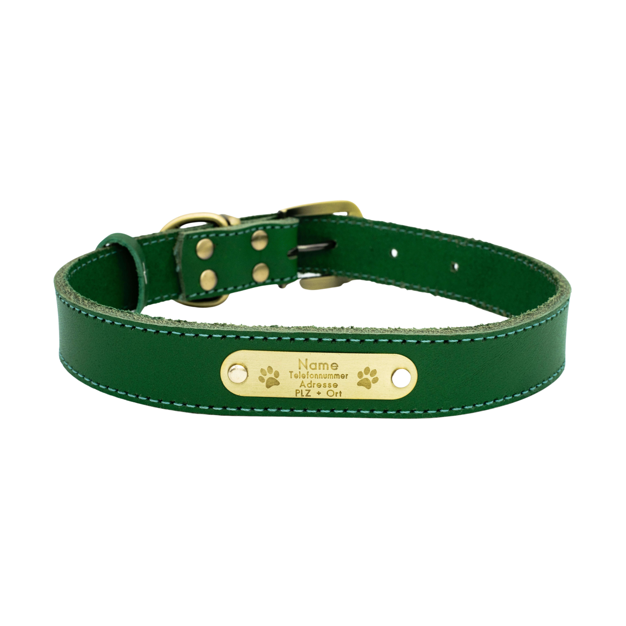 Premium Series Set - Halsband & Leine in Opalgrün