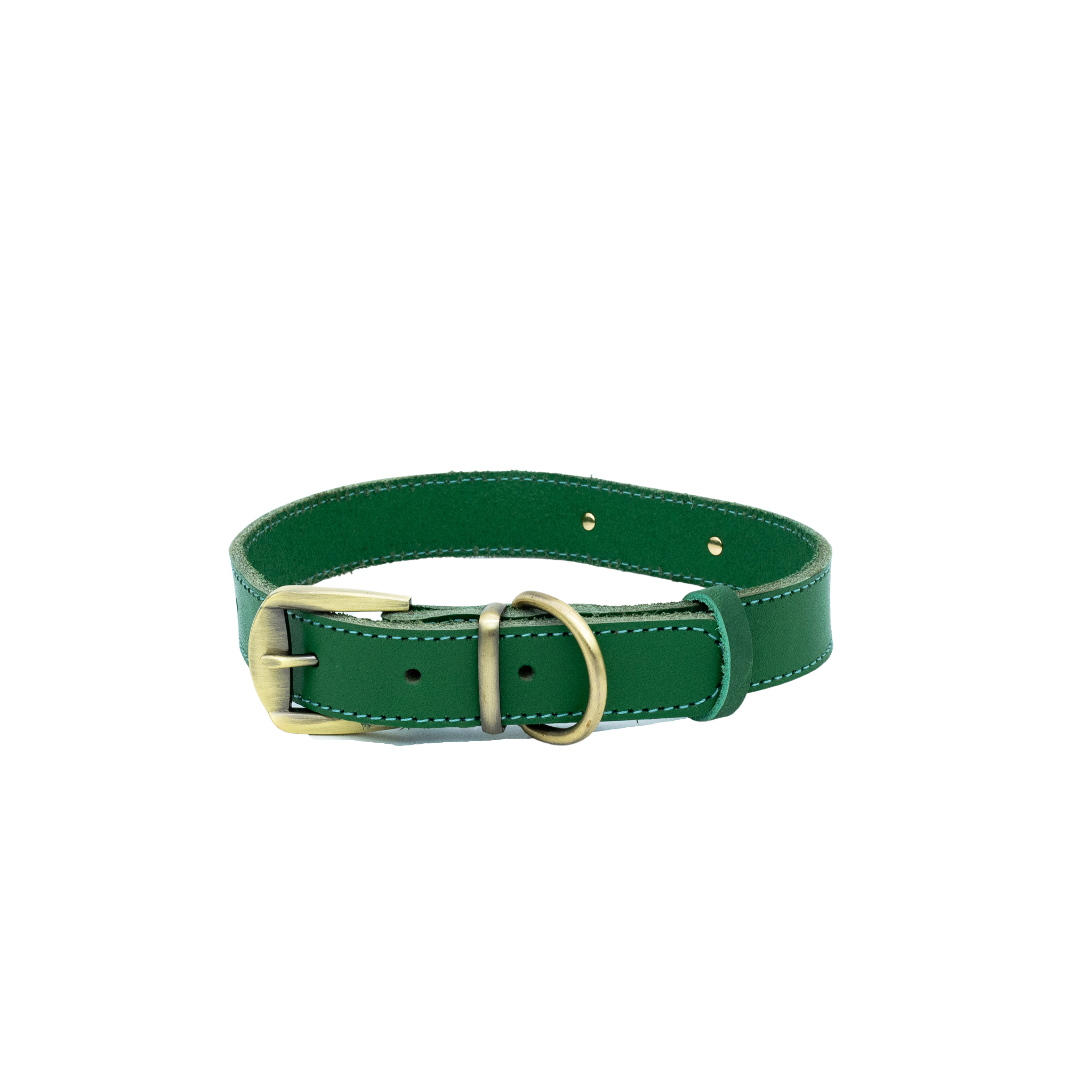 Premium Series Set - Halsband & Leine in Opalgrün